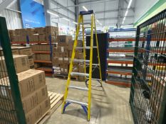 Werner 7 Rung Ladder