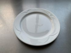 Large Plates x50