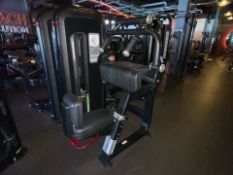 Nautilus Inspiration Tricep Extension
