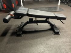 Nautilus Adjustable Decline Bench