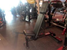 Nautilus Inspiration Multi Adjustable Bench