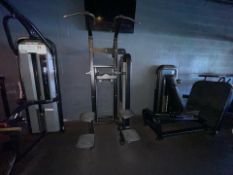 Nautilus Impact Assisted Chin Dip