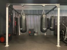 Exigo Combat Boxing Rig With 4 Hatton Punch Bags