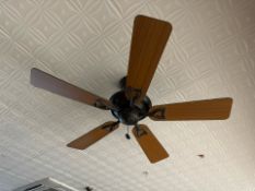 Hunter Wooden Ceiling Fan