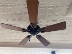 Hunter Wooden Ceiling Fan