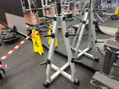 Technogym 4 Sided Weight Plate Tree