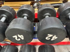 42kg Dumbbell Pair