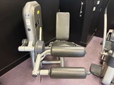 Technogym Leg Curl Pin Loaded