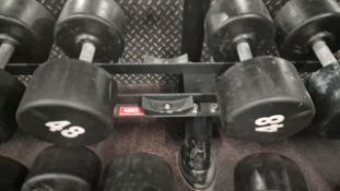 48kg & 50kg Dumbells x2