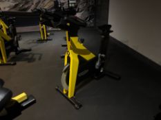 Technogym Spin Bike - No Reserve