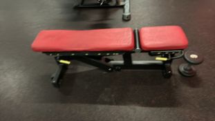 Technogym Adjustable Workout Bench - No Reserve