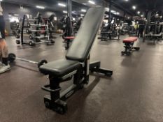 Technogym Adjustable Workout Bench - No Reserve