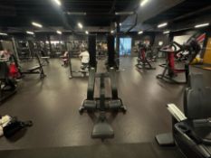 Technogym Pull Down- No Reserve