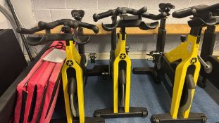 Technogym Spin Bike - No Reserve