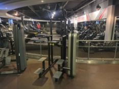 Technogym Kneeling Easy Chin Dip- No Reserve