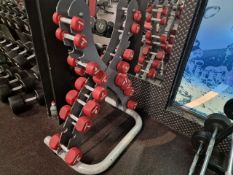 Escape Dumbbells & Stand - No Reserve