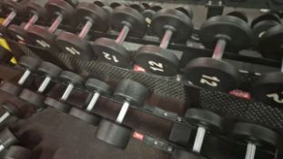 Dumbbell Rack - No Reserve