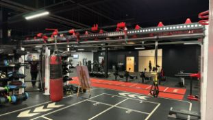 Octagon Escape Workout Rig- No Reserve