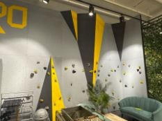 Rock Climbing Wall Display