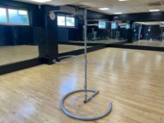 Exercise Ball Stand - No Reserve