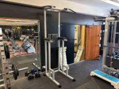 Technogym Pull Up & Dip Station