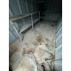 20ft Storage Container, Delivery Available At Extra Cost - Image 9 of 12
