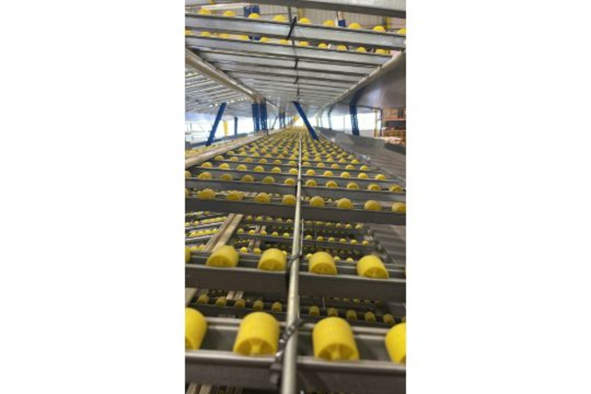 181 Bays of Back To Back Flow Racking Consists 224 Frames, 910 Flow Shelves, Dismantled & Palletised - Image 24 of 27