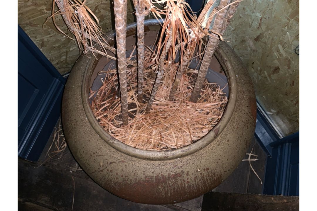 Large Ceramic Plant Pot, No Reserve - Image 2 of 3