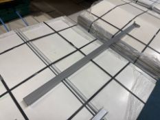 Extendable Silver RSBs Rail x 504