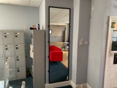 Steel Frame Long Mirror - NO RESERVE
