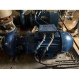 Wag W22 Promium Motor