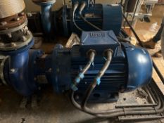 Wag W22 Promium Motor