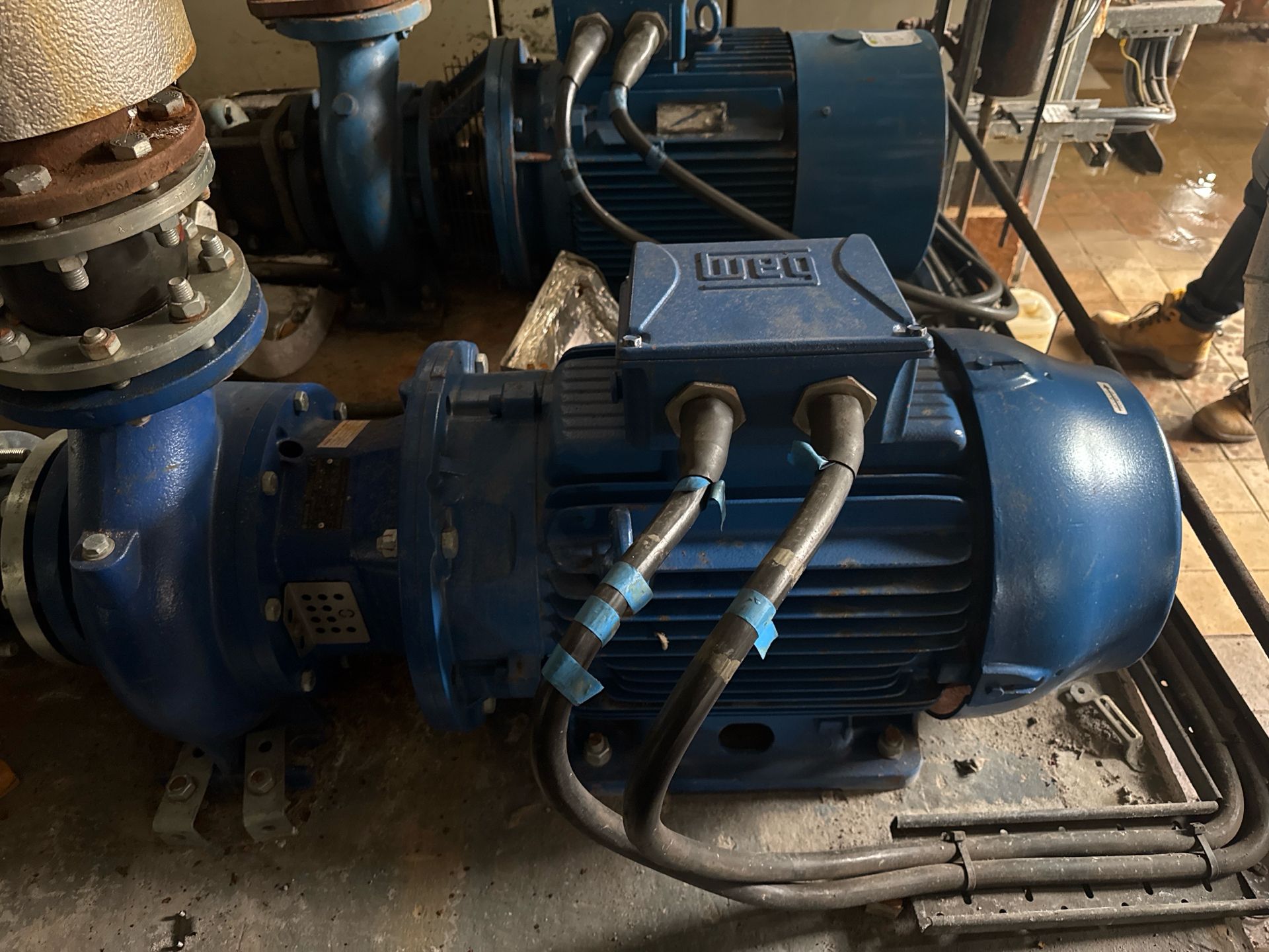 Wag W22 Promium Motor