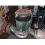 Alpak Induction Motor