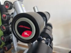 16kg Life Fitness Dumbbell Pair