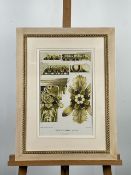 Artwork Italian Neo-Classic Print