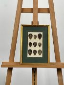 Artwork Framed Print