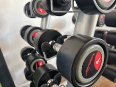 8kg Life Fitness Dumbbell Pair