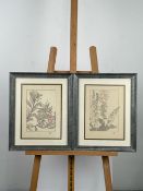 Artwork Framed Prints x 2