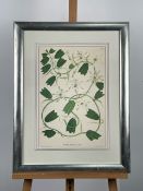 Artwork Botanical Print