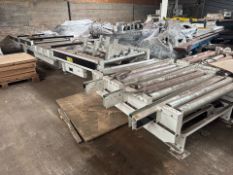 Assorted Pallet Conveyors For Robot Process