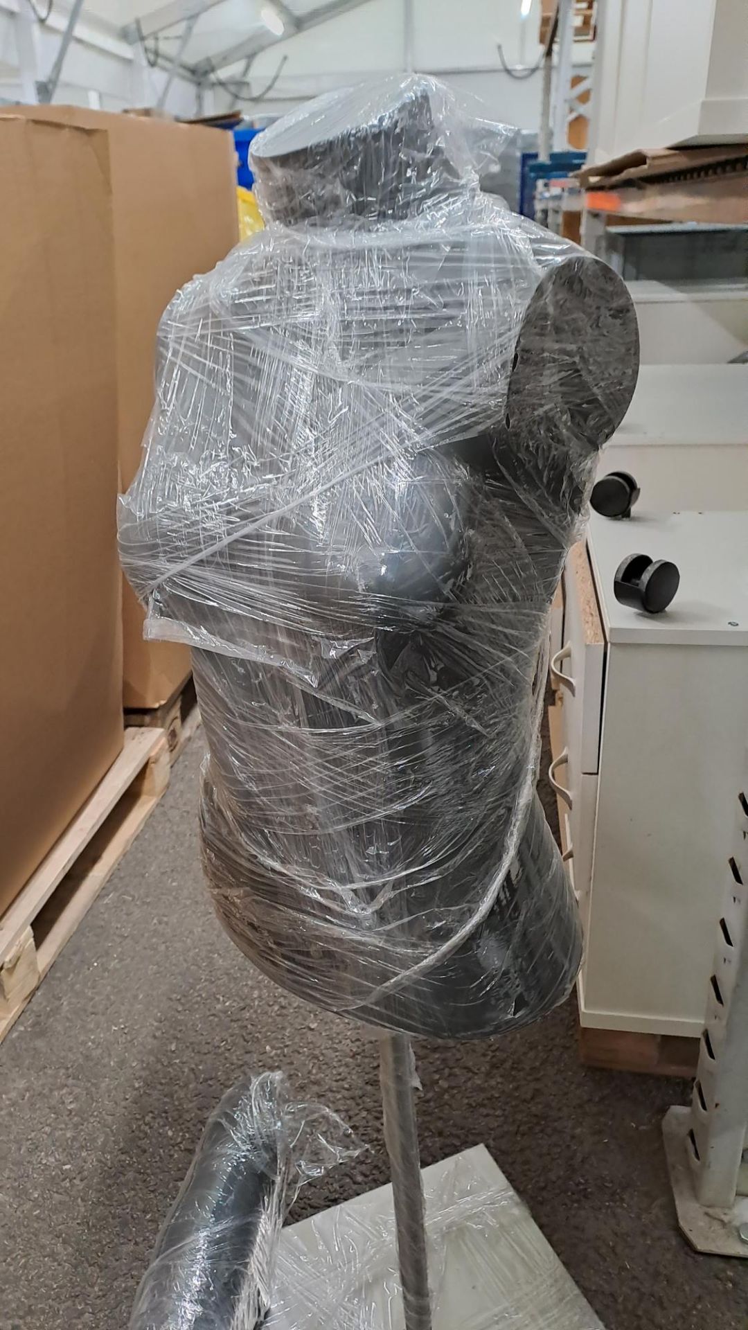 NEW Grey Female Torso-No Reserve