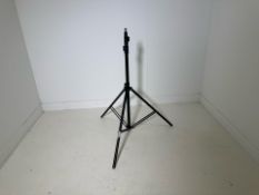 Light Stand- No Reserve