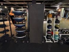Gym Mats 60cm x 150cm & Physical Stand - No Reserve