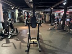 Pull Up / Dip Station - No Reserve