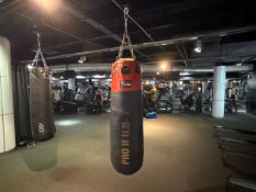 Pro X ILD - 7 Punch Bag - No Reserve