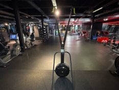Concept2 Ski Erg - No Reserve