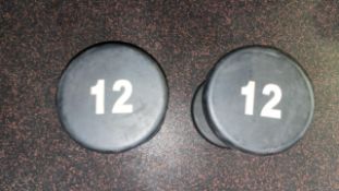 12kg Dumbbells - No Reserve