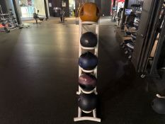 Assorted Exercise Balls & Stand - No Reserve