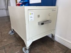 Tann Mobile Safe